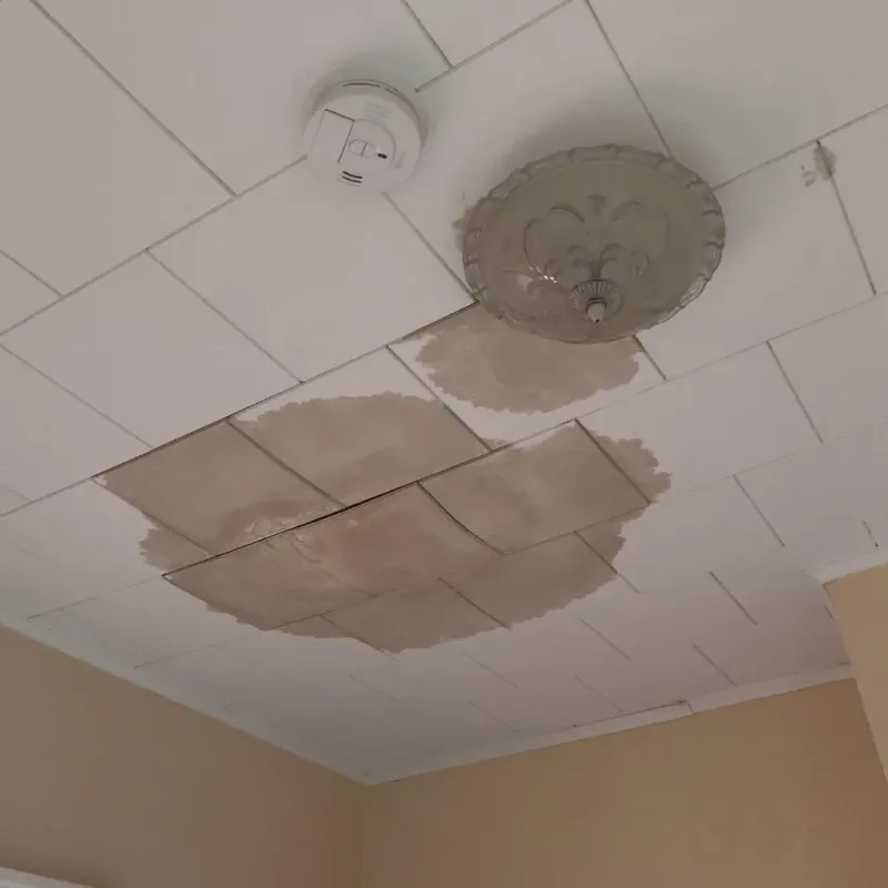 Ceiling Water Damage Repair in Davis Junction, IL