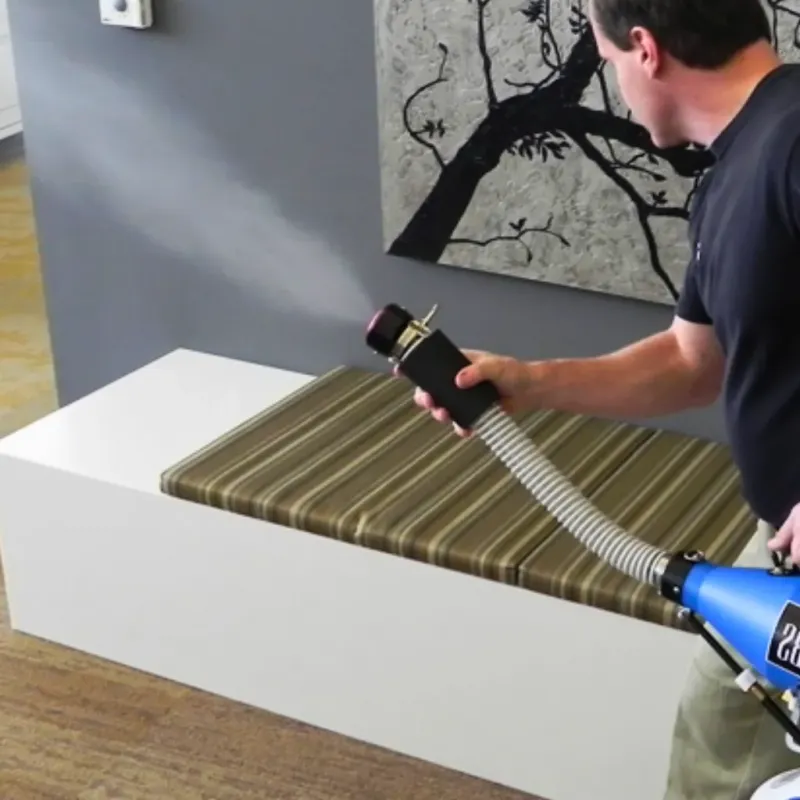 Professional Odor Removal in Davis Junction, IL