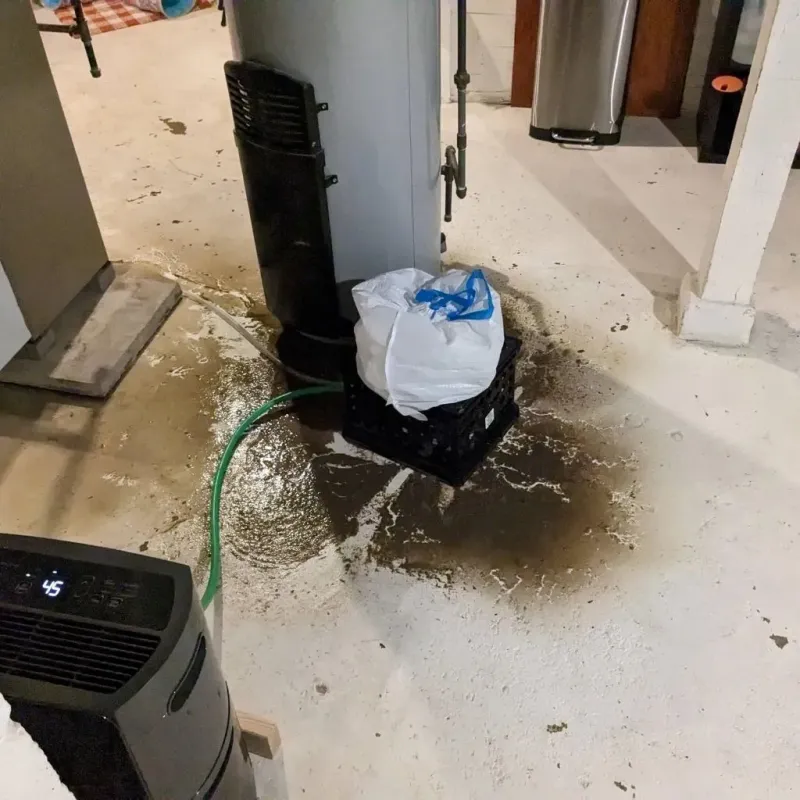 Sewage Backup Cleanup Service in Davis Junction, IL